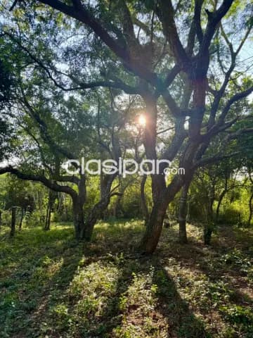 terreno en Caacupé, foto 2
