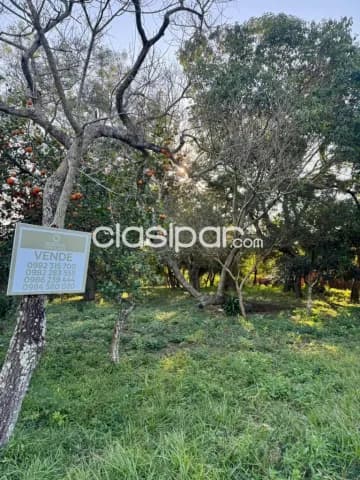 terreno en Caacupé, foto 3
