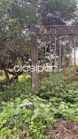 terreno en Luque zona Cit