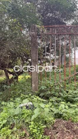 terreno en Luque zona Cit, foto 2