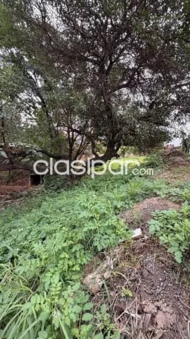 terreno en Luque zona Cit, foto 4
