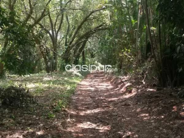 Terreno en venta en marambure - Luque, foto 2