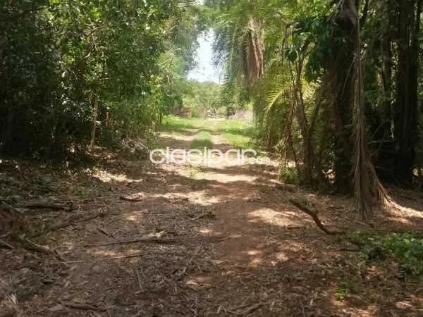Terreno en venta en marambure - Luque, foto 5