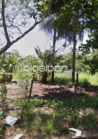 Terreno 2.700 m2 (6 lotes) en Los Rosales San Jose Ciudad del Este, foto 4
