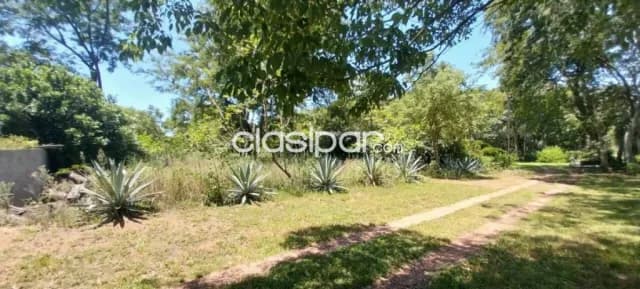 Terreno 1.246m2 frente al rio en Condominio Costa Alta, Villa Elisa, foto 2