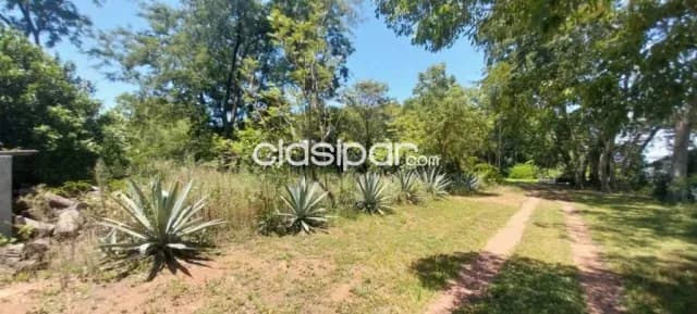 Terreno 1.246m2 frente al rio en Condominio Costa Alta, Villa Elisa, foto 3