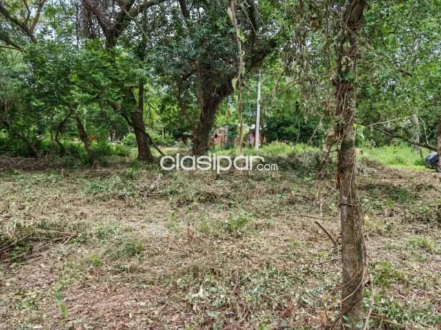 De dos terrenos juntos – San Bernardino, foto 4