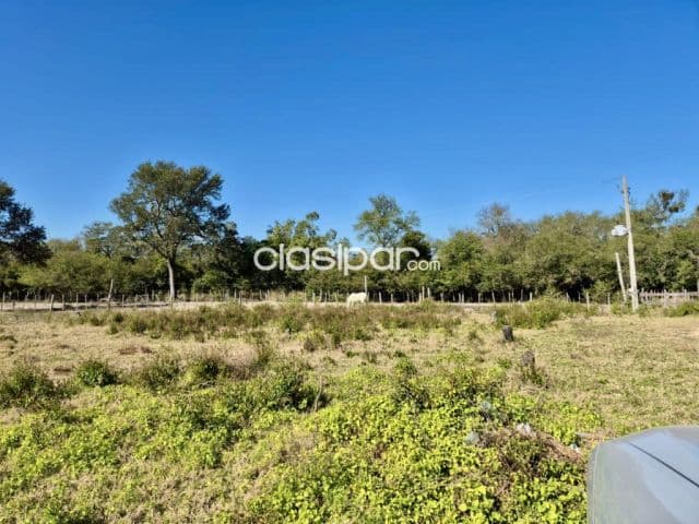 Campo Ganadero en General Bruguez sobre Ruta 12 - 493 Ha