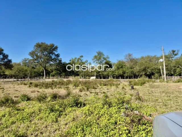 Campo Ganadero en General Bruguez sobre Ruta 12 - 493 Ha, foto 2