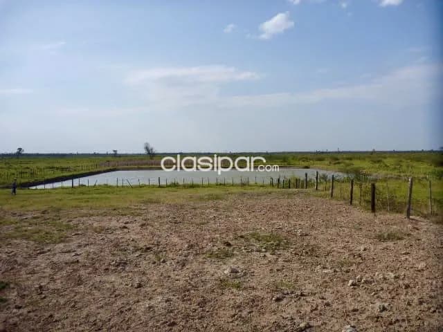 Campo Ganadero en General Bruguez sobre Ruta 12 - 493 Ha, foto 5