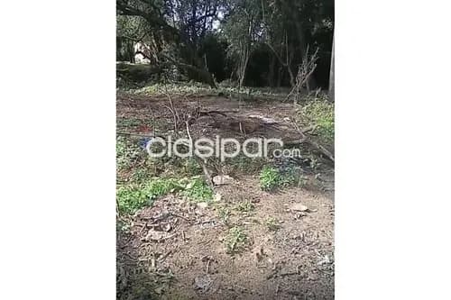 Terreno en Venta en Central Limpio Isla Aveiro Calle Sin Nombre casi Prof. Estelvina Góme, foto 3