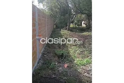 Terreno en Venta en Central Limpio Isla Aveiro Calle Sin Nombre casi Prof. Estelvina Góme, foto 4