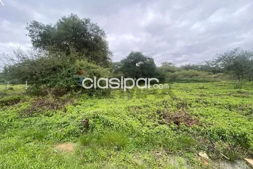 Terreno en Venta en Central Luque, foto 3