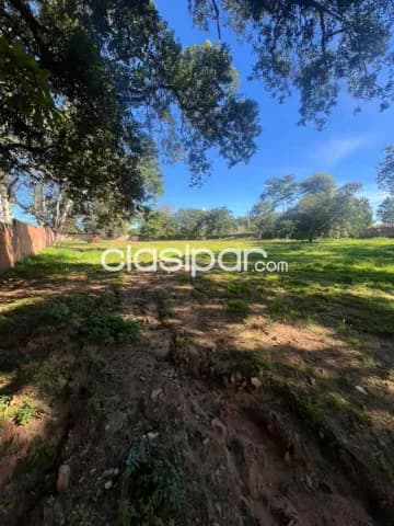 Terreno 6814m² sobre primer presidente, mburucuyá, foto 4