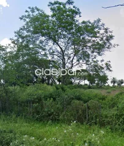 2,6 ha a una cuadra de la ruta transchaco en Benjamin Aceval, foto 3