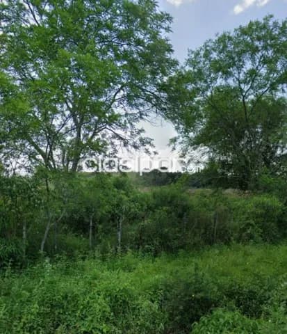 2,6 ha a una cuadra de la ruta transchaco en Benjamin Aceval, foto 4