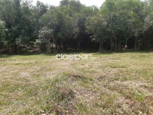 Terreno en el casco urbano de paso yobai, foto 1