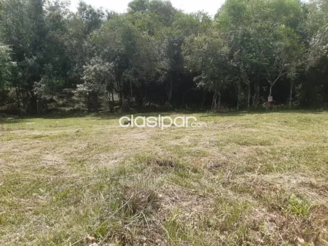 Terreno en el casco urbano de paso yobai, foto 2