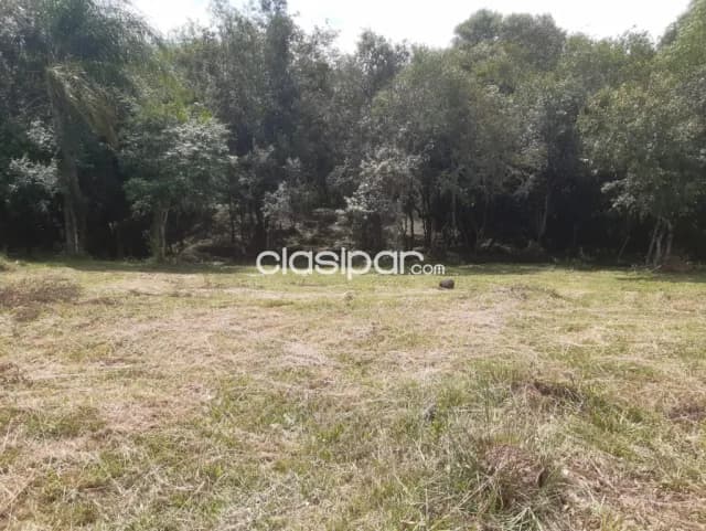 Terreno en el casco urbano de paso yobai, foto 3