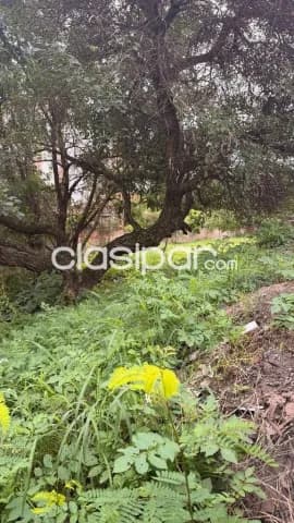 Terreno en Luque zona de facil acceso, foto 2