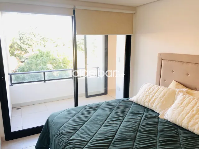 Oferto amplio y fino departamento amoblado de un dormitorio en Asuncion!, foto 5