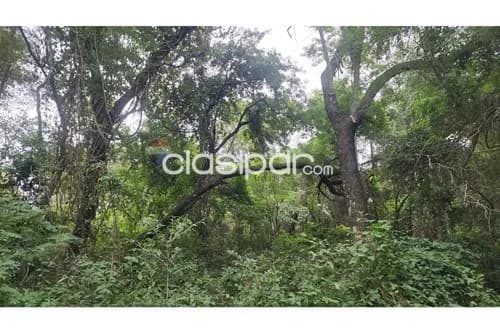 Terreno en Venta en Central Ypacaraí, foto 4