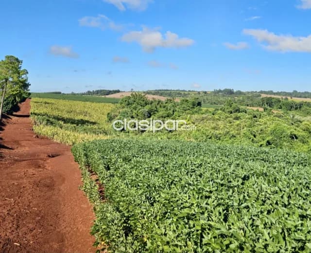 Terreno Agrícola Mecanizado en Obligado - 28 Ha, foto 2