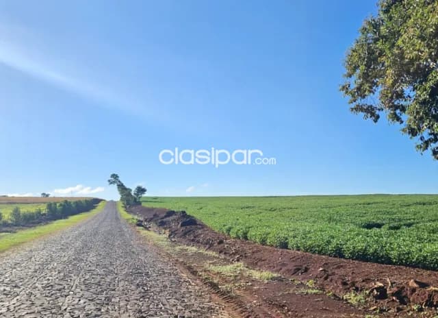 Terreno Agrícola Mecanizado en Obligado - 28 Ha, foto 3