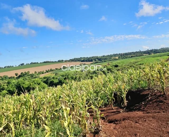Terreno Agrícola Mecanizado en Obligado - 28 Ha, foto 4