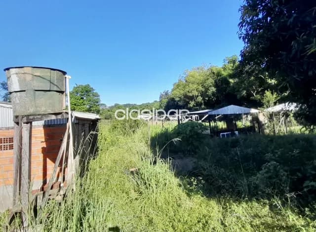 Granja a Refaccionar en Cambyreta - 3 Ha, foto 3