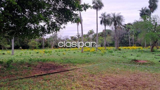 A Precio De Oferta Terreno De 1 Ha En Caacupe