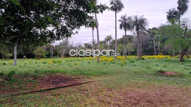 A Precio De Oferta Terreno De 1 Ha En Caacupe, foto 2