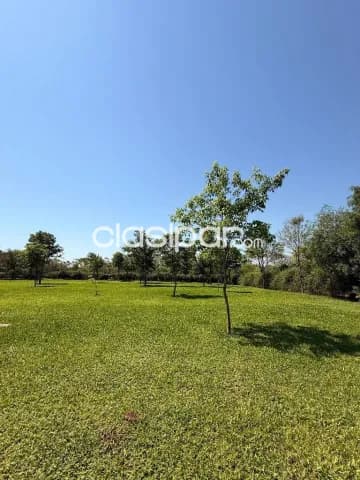 Casa en condominio en Mariano Roque Alonso, foto 4