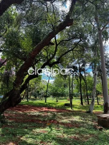 Casa en condominio en Luque, foto 5