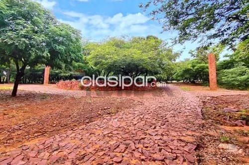 Terreno en Venta en Central Ypacaraí Patiño Ypakarai, foto 3