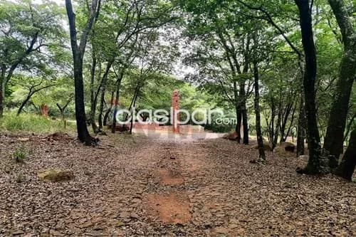 Terreno en Venta en Central Ypacaraí Patiño Ypakarai, foto 4