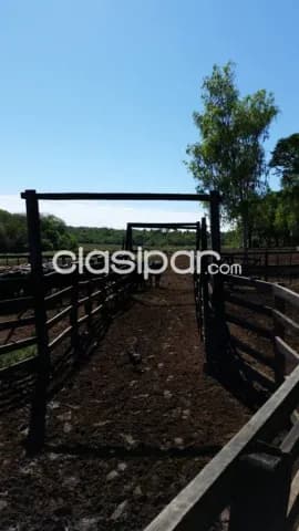Estancia en san pedro del paraná, foto 3