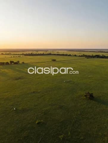Estancia en josé falcón, foto 4