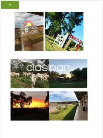 Estancia en caazapá, foto 4
