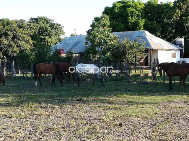Estancia en caapucú, foto 4