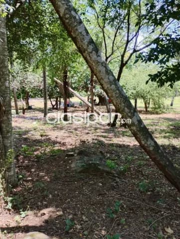 Estancia en loma grande, foto 2