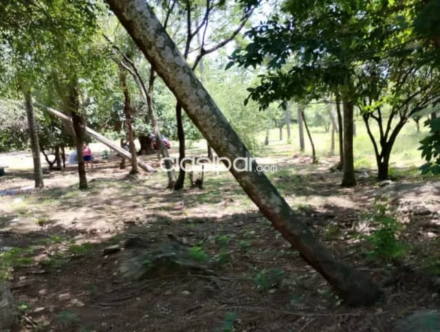 Estancia en loma grande, foto 5