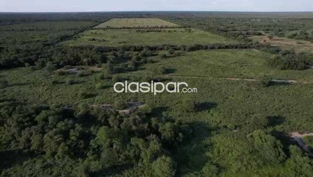 Estancia en neuland, foto 1