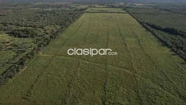 Estancia en neuland, foto 3