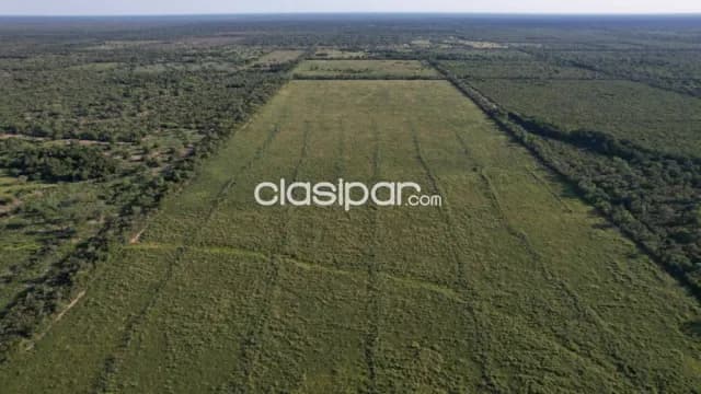 Estancia en neuland, foto 5