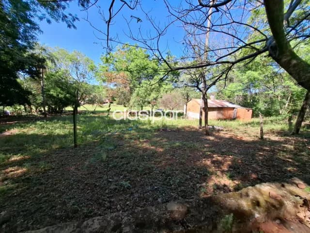 Terreno en venta en Limpio, foto 4