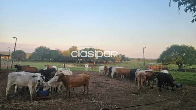 Estancia En Ybycui, foto 4