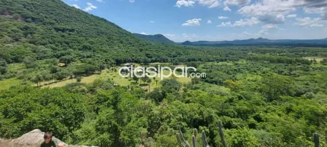Estancia en paraguarí, foto 3