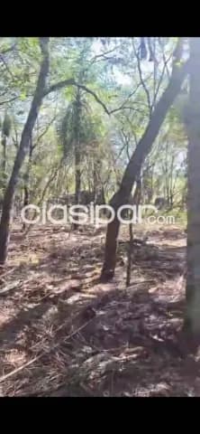 Estancia en nueva colombia, foto 2