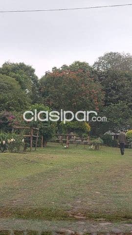 Estancia en arroyos y esteros, foto 1
